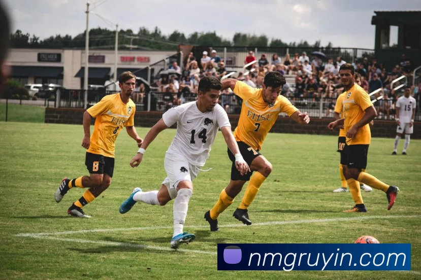 世界杯开户平台APP 封面图